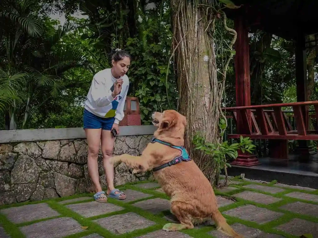 Best Pet Friendly Resort in Kerala