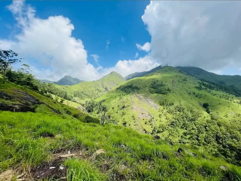 Wayanad silver resort