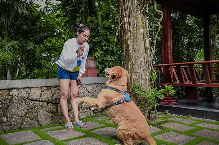 best pet friendly resort in kerala