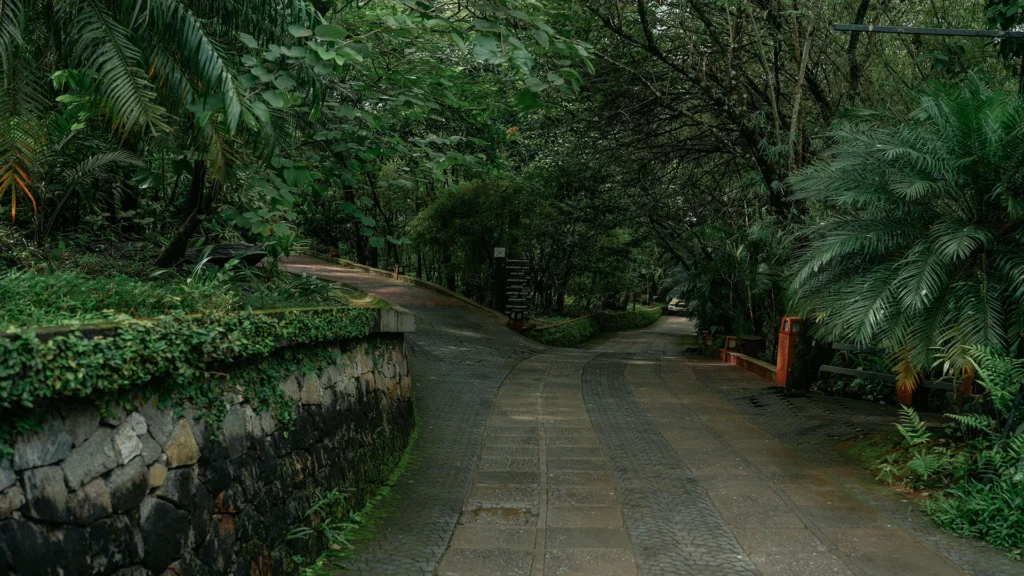 Beautiful nature resort in Wayanad offering tranquil surroundings and adventure activities.
