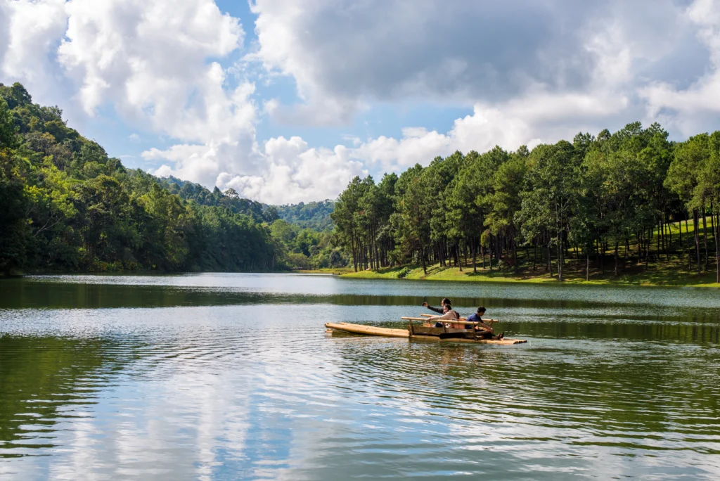Wayanad silverwoods resort